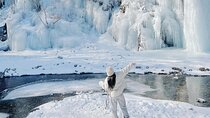 Eobi Ice Wall & Nami Island & Morning Calm Light Festival