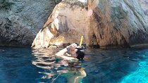 Private RIB Adventure in Paxos and Antipaxos