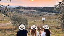 2 wineries Chianti Wine Tasting & Vineyards Walk Private Tour 