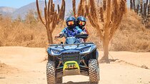 Real Baja ATV Tour – Ride Cabo's Desert, Beach & Taste Tequila