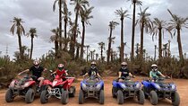 3 Hours Quad Excursion to the palm grove and Jbilat Desert