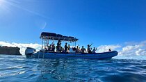 The Best 2 Hour Molokini Express Snorkeling