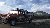 Sunset Wildlife Tour (Wildside 4x4 Tours)