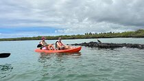 Top Galapagos Island Hopping Tour - 9 Days