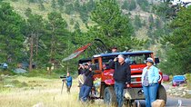 Elk Watching Tour (Wildside 4x4 Tours)