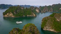 Bai Tu Long Bay Overnight Cruise from Hanoi Inlcuded Transfer