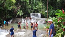 Private Tour from Negril to YS Falls and Pelican Bar