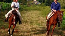 Horseback riding in the Tuscan countryside from Florence