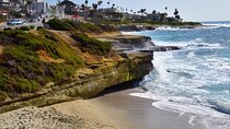 Discover San Diego's Beaches: Private Driving Tour