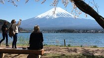 Mt Fuji Private Day Tour from Tokyo with English Speaking Driver