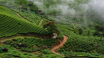 Green Magic Day Tour to Munnar