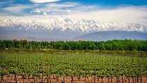 Full-Day Private Luján De Cuyo Wine Tour from Mendoza