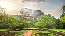 Private Tour Sigiriya Rock and Wild Elephant Safari from Negombo