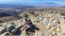 Private Driving and Hiking Tour in Joshua Tree National Park