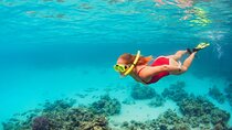 Coral Snorkeling Private Tour in Punta Cana with Seafood Lunch