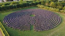 Veneto Labyrinth Tour