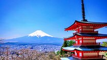 Mount fuji and Hakone Full day private sightseeing tour 