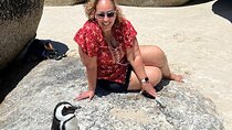 Penguin Watching & Beach Day at Boulder's Beach, Cape Town