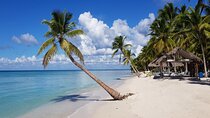 Saona Island Full-Day Tour from Santo Domingo with Pickup