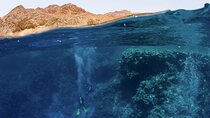 Blue Hole Private Day Tour To Dahab From Sharm El Sheikh 