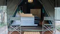 5 Day Kruger Glamping Safari and Panorama Tour