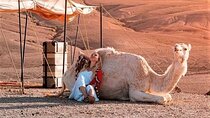 Desret Agafay and Atlas Mountains & Camel ride Day Trip From Marrakech