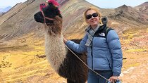 Palcoyo Colored Mountain Tour, Ribbon with Alpacas
