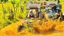 Guided Buggy Tour of Punta Cana