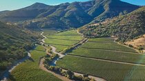 Full-Day Private Colchagua Valley Wine Tour from Santiago