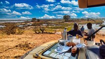Safari Game Drive: Zambezi National Park *unique-limited-must do*