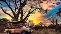 Safari in Victoria Falls and Zambezi National Park