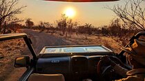 Off the Beaten Path: Unique Safaris in Zambezi National Park 