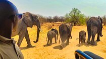 4x4 Safari in Victoria Falls National Park *small group-limited*