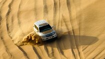 Evening Desert Safari Abu Dhabi with BBQ Dinner & Shows