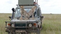 5 Days in to the heart of serengeti 