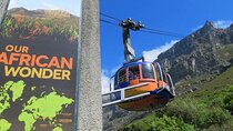 Explore Table Mountain, Kirstenbosch and Constantia Wineries Tour