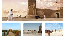 North of Qatar Tour|Zubara Fort, Purple Island & Mangroves Colony