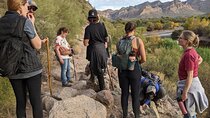 Guided Hike: Lime Kiln Desert Hike on the Lower Salt River