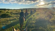 Horseback Ride on Scenic Lake Louisa Trails