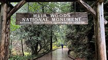 Muir Woods and Sausalito Private Tour