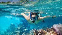 Snorkel Private Tour to Rosario Islands