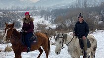 Horseback riding Tour