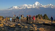 4 Day Private Poon Hill Trek and Tandem Paragliding in Pokhara