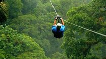 Day Trip to Kereita Forest and Ziplining 