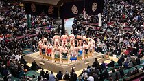 Premium Seat in Grand Sumo Tournament in Tokyo
