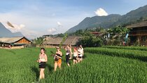 From Hà Nội : Sapa trek with local guide 2 days 1 night 