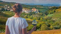 From Alba and Turin: Langhe Wine Tour with tasting