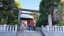 Shinto Shrine Tour: Explore Japanese Culture in Tokyo