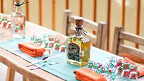 Private 90 Minutes Agave Distilled Spirits Tasting in Mexico