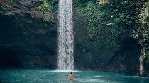 Ubud waterfall tour